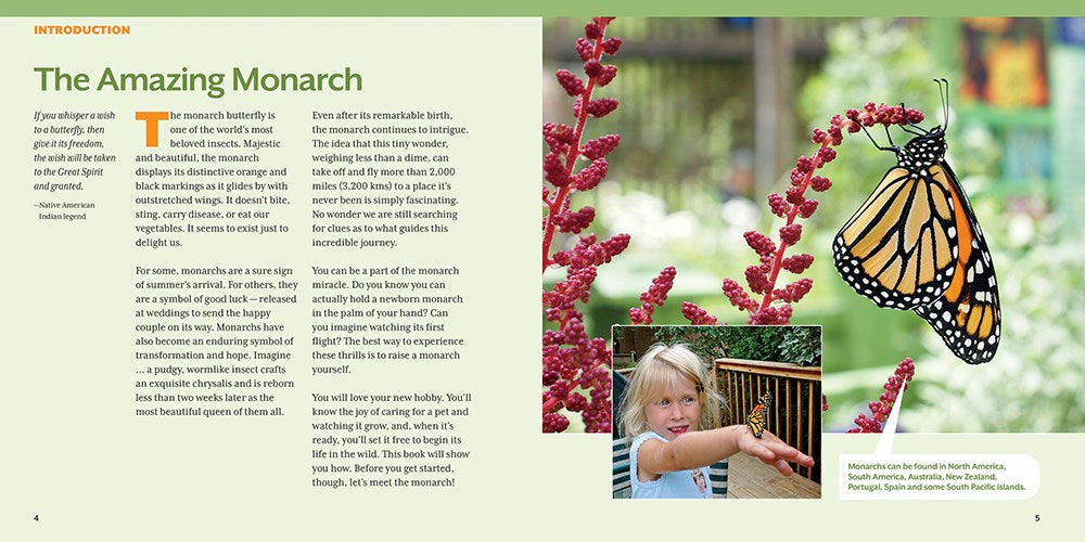 How to Raise Monarch Butterflies: A Step-by-Step Guide for Kids