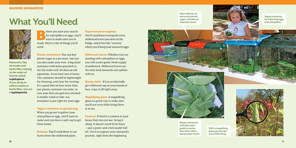 How to Raise Monarch Butterflies: A Step-by-Step Guide for Kids