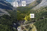 Mauled: Lessons Learned from a Grizzly Bear Attack