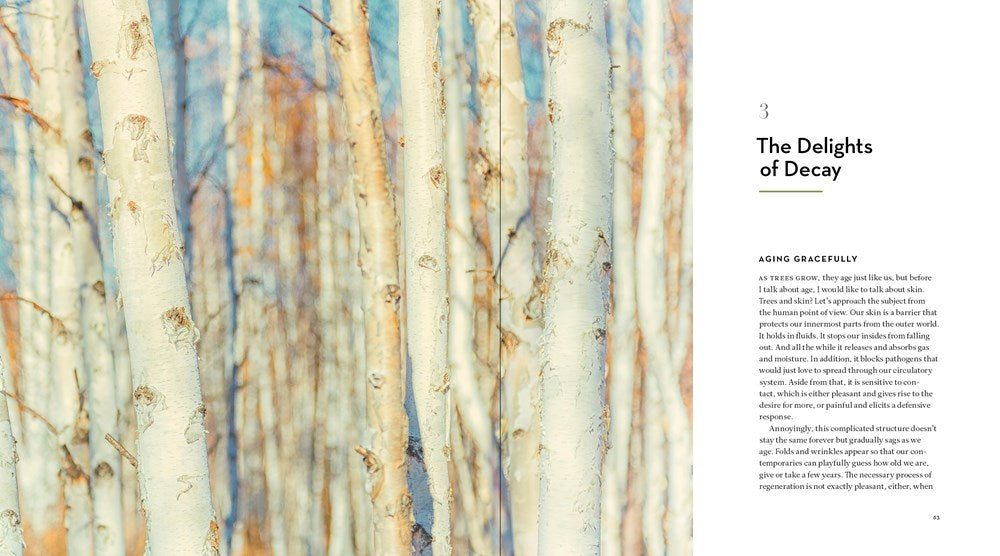 The Hidden Life of Trees: The Illustrated Edition