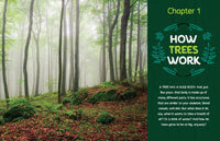 Can You Hear The Trees Talking?