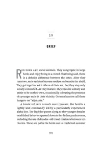 The Inner Life of Animals