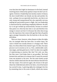 The Inner Life of Animals