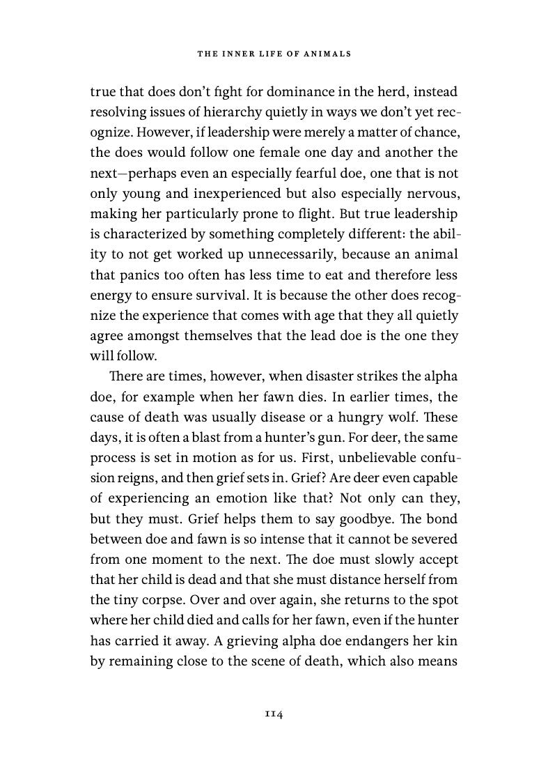 The Inner Life of Animals