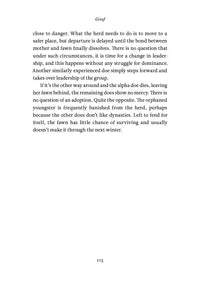 The Inner Life of Animals