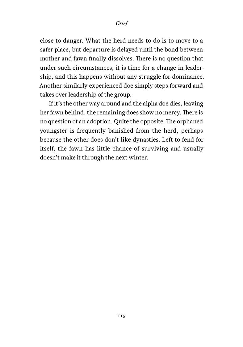 The Inner Life of Animals