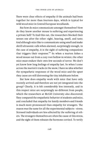 The Inner Life of Animals