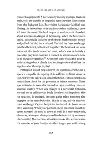 The Inner Life of Animals