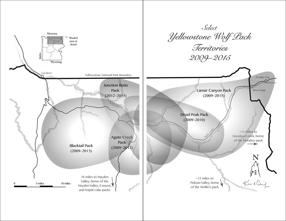 The Alpha Female Wolf