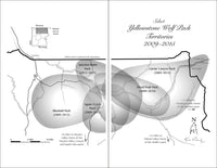 The Alpha Female Wolf