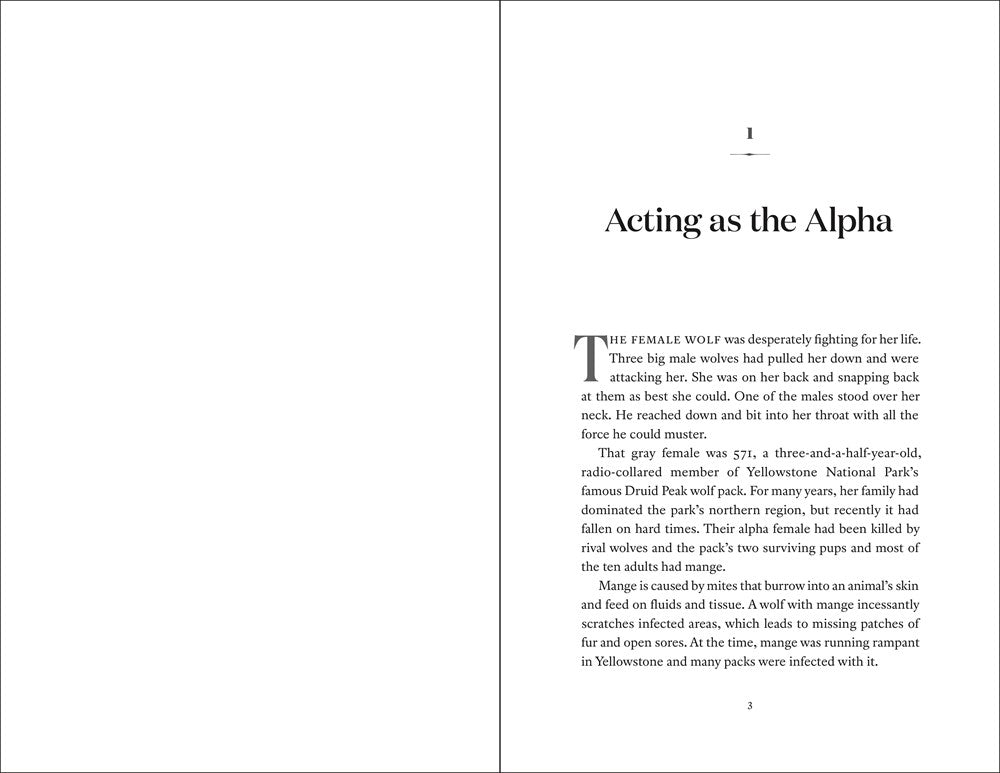 The Alpha Female Wolf