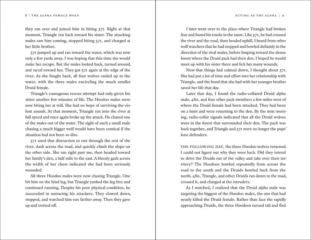 The Alpha Female Wolf