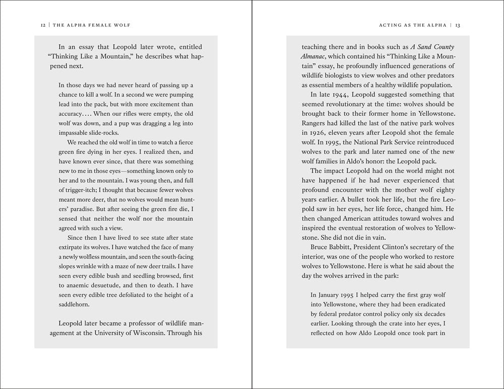 The Alpha Female Wolf