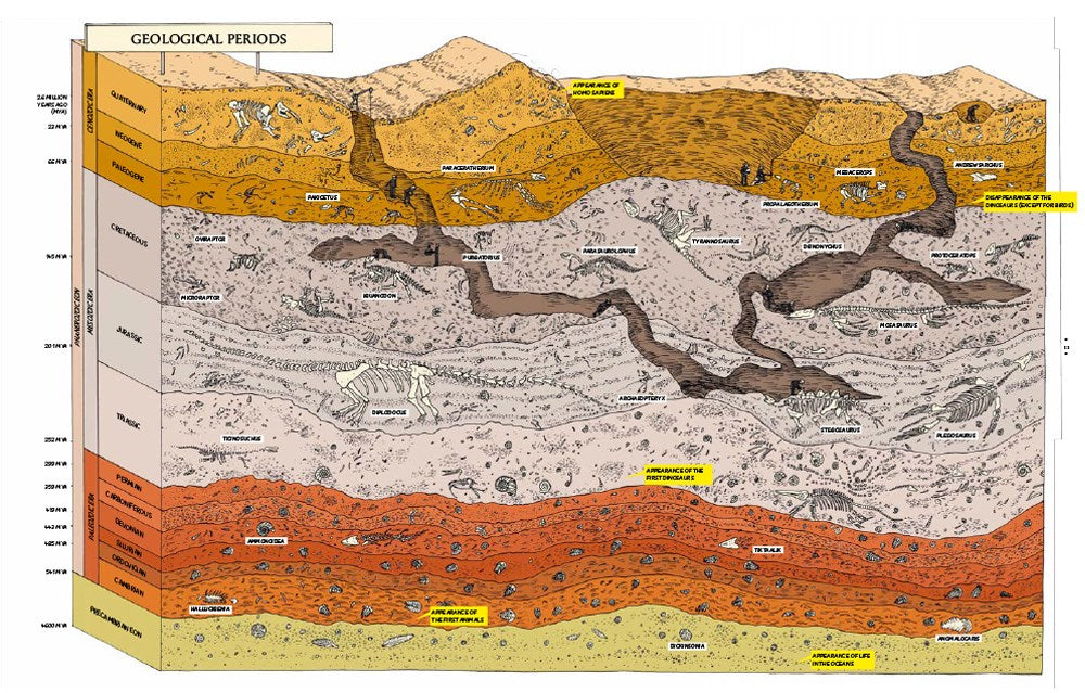 Fossils from Lost Worlds