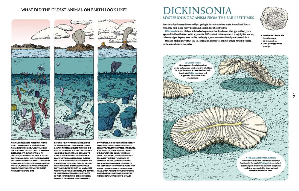 Fossils from Lost Worlds