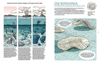 Fossils from Lost Worlds