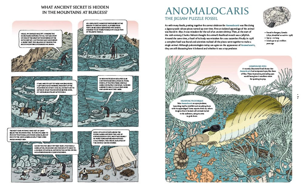 Fossils from Lost Worlds