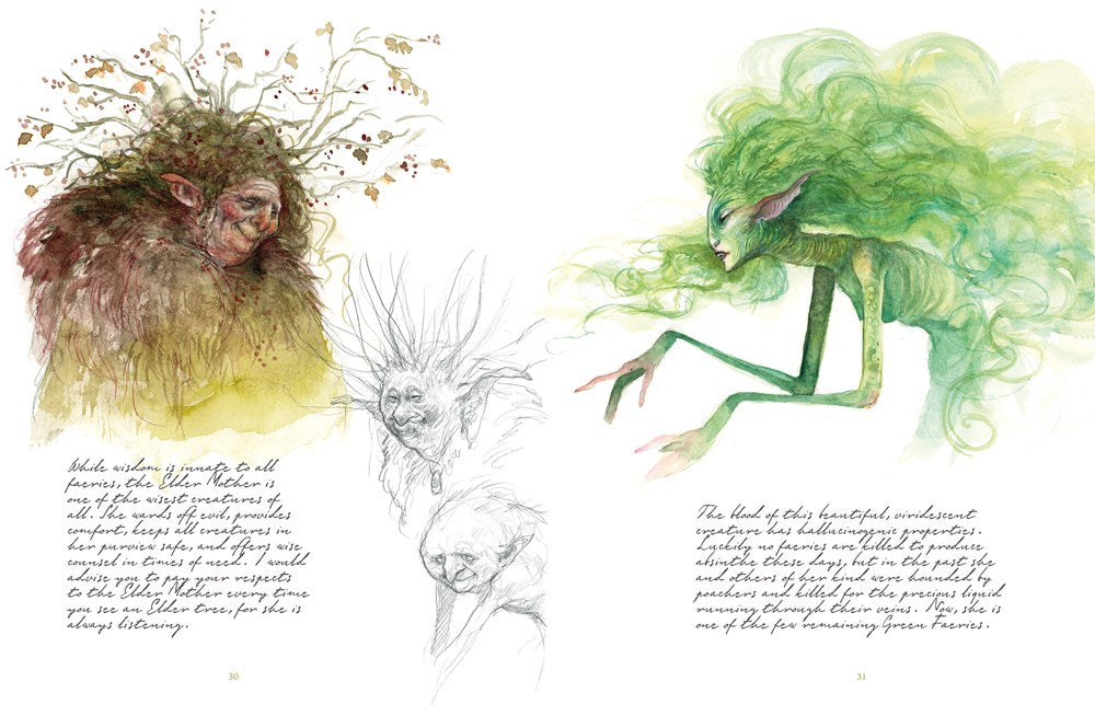 Faeries of the Faultlines