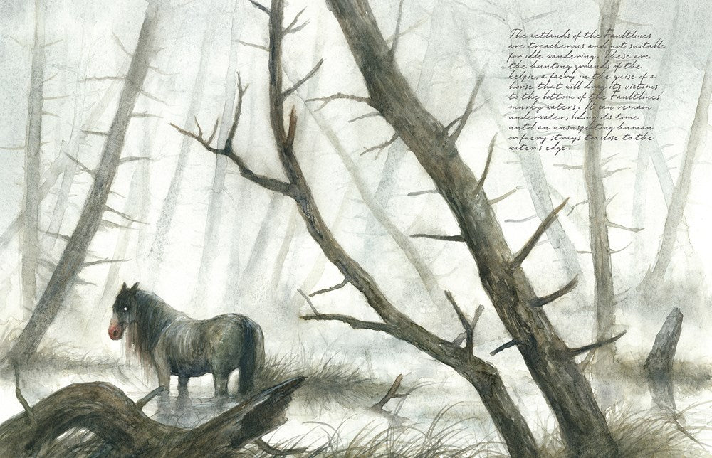 Faeries of the Faultlines