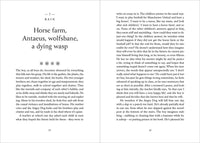 Spring Rain: A Life Lived in Gardens