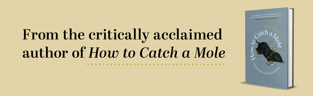 Spring Rain: A Life Lived in Gardens