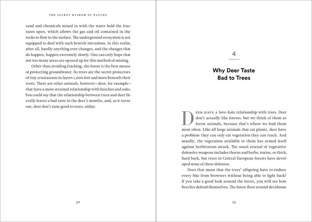 The Secret Network of Nature