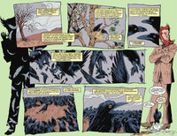 The Sandman Book Three