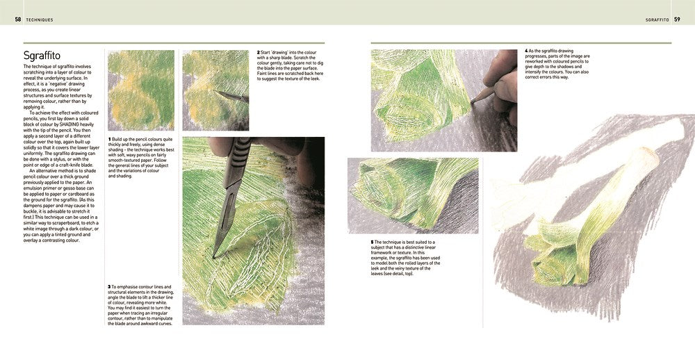 Encyclopedia of Coloured Pencil Techniques, The