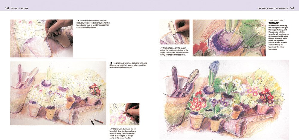 Encyclopedia of Coloured Pencil Techniques, The