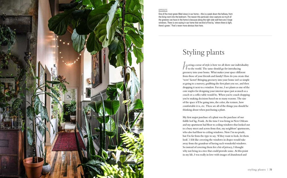 Wild at Home: How to style and care for beautiful plants