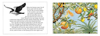 An Elsa Beskow Gift Collection: Peter in Blueberry Land and other beautiful books