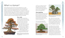 The Bonsai Beginner's Bible