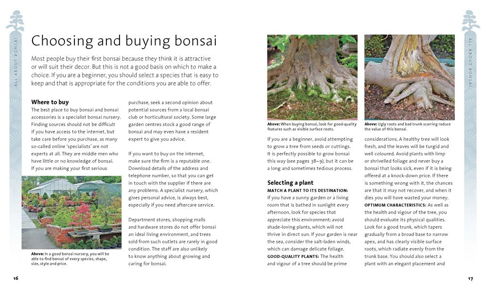 The Bonsai Beginner's Bible