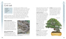 The Bonsai Beginner's Bible