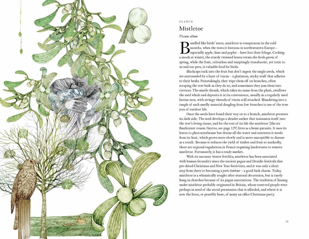 Around the World in 80 Plants