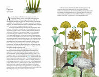 Around the World in 80 Plants