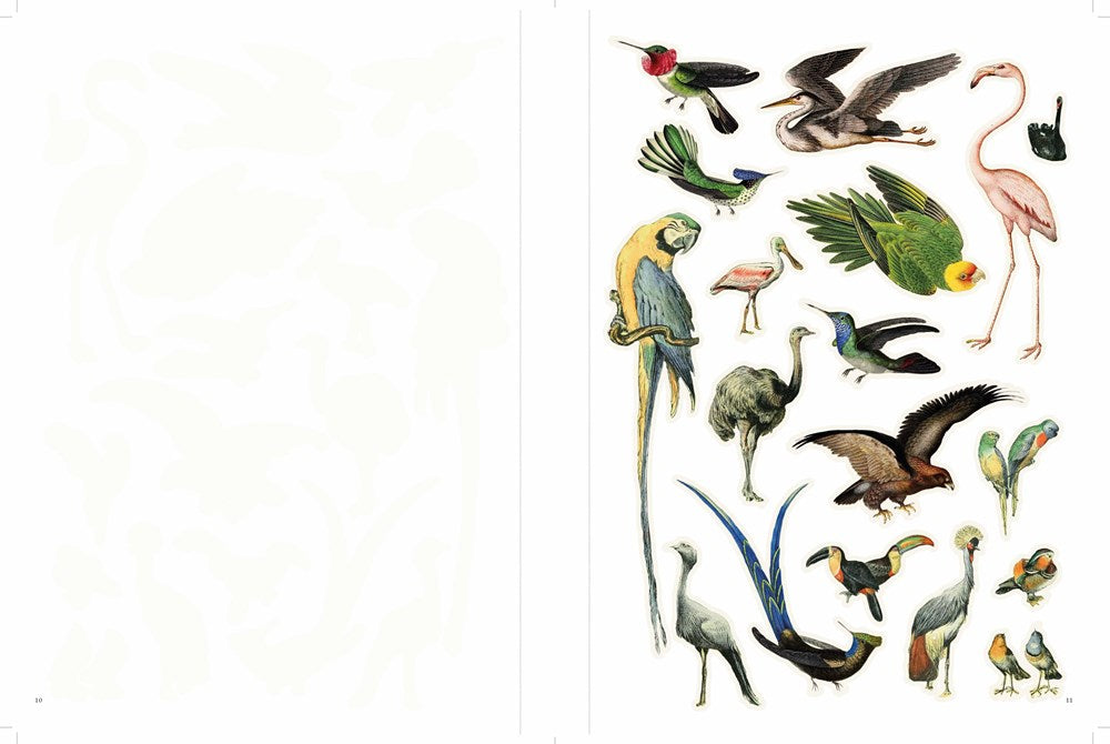 Extraordinary Things to Cut Out and Collage