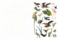 Extraordinary Things to Cut Out and Collage