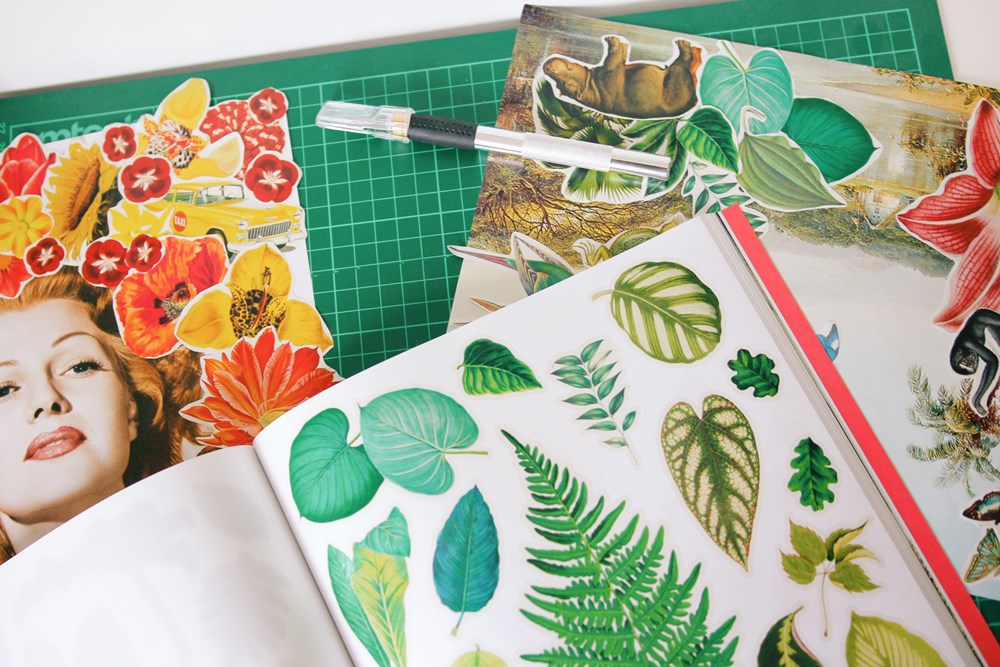 Extraordinary Things to Cut Out and Collage