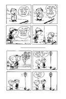 Peanuts Slipcase Set
