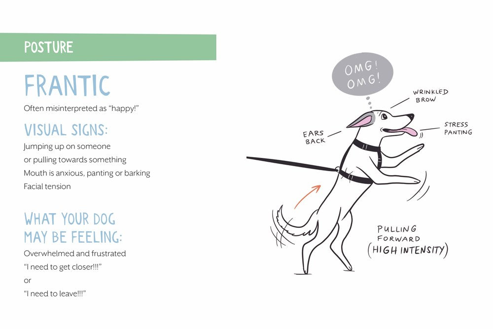 Doggie Language: A Dog Lover's Guide to Understanding Your Best Friend