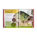 Children's Encyclopedia of Animals