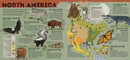Lonely Planet Kids Animal Atlas