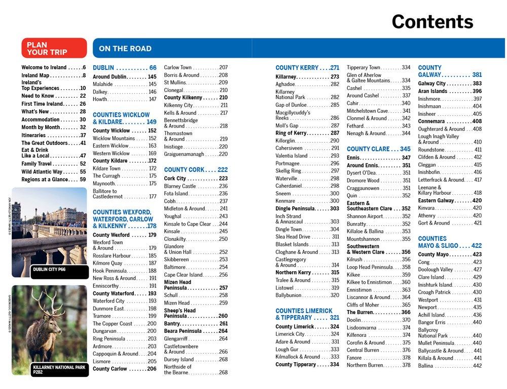 Lonely Planet Ireland 15  (15th Edition)