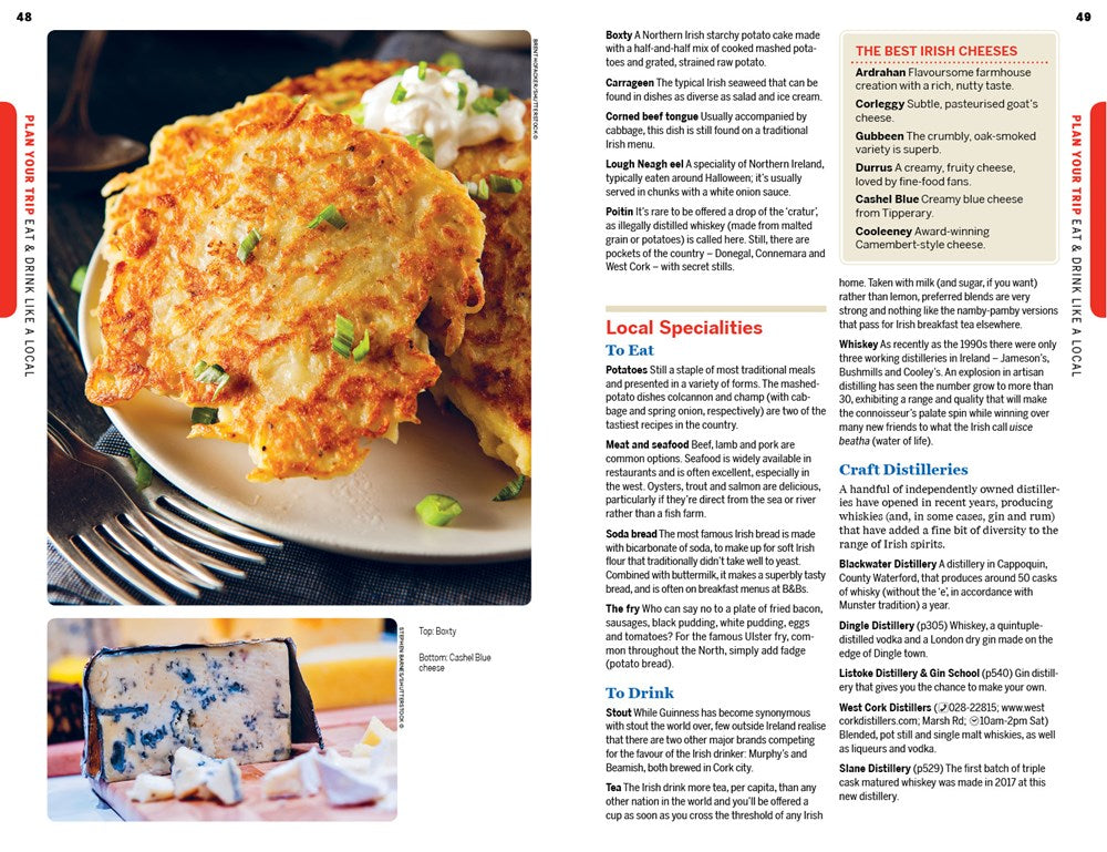 Lonely Planet Ireland 15  (15th Edition)