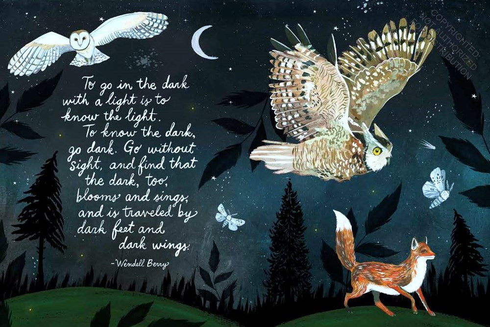 How to Be a Moonflower