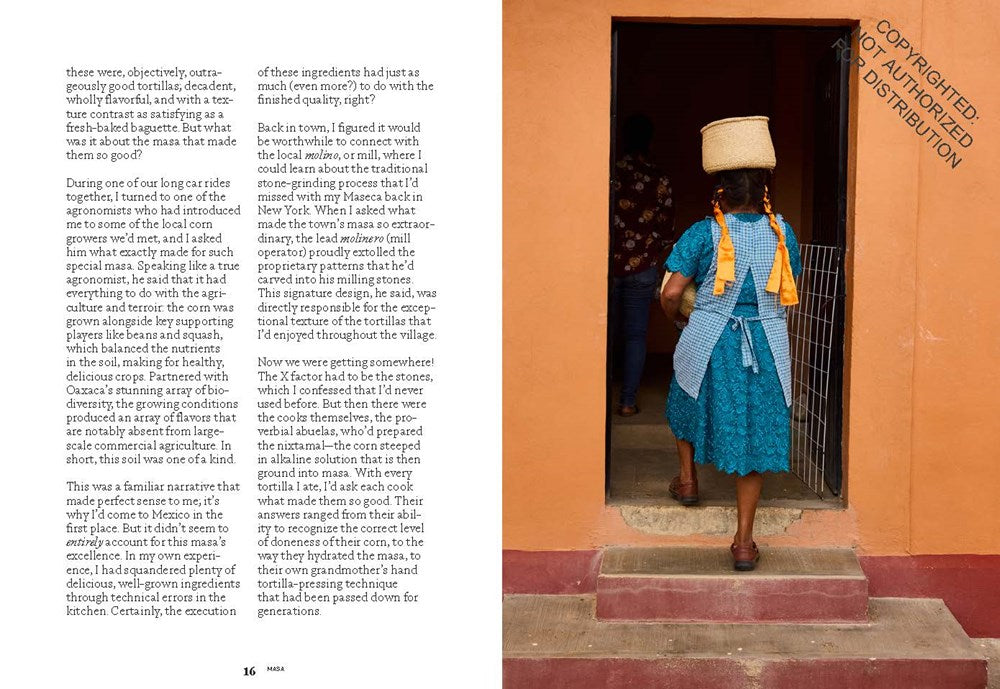 Masa: Techniques, Recipes, and Reflections on a Timeless Staple