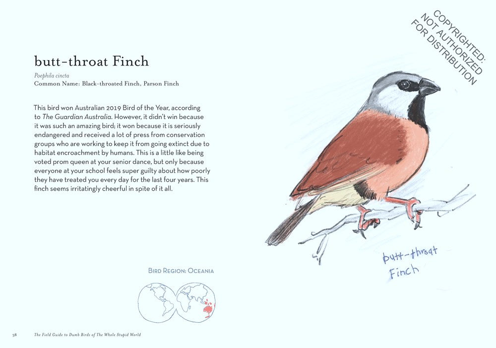 The Field Guide to Dumb Birds of the Whole Stupid World