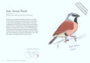 The Field Guide to Dumb Birds of the Whole Stupid World