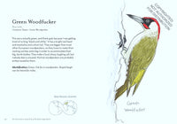 The Field Guide to Dumb Birds of the Whole Stupid World